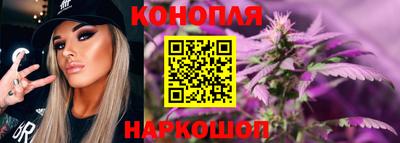 гидропоника Можга